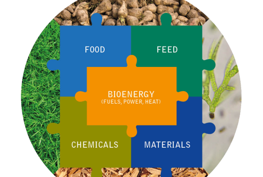 Il modello di bioraffineria Novamont: un caso di innovazione tutto italiano all’IEA Bioenergy Workshop